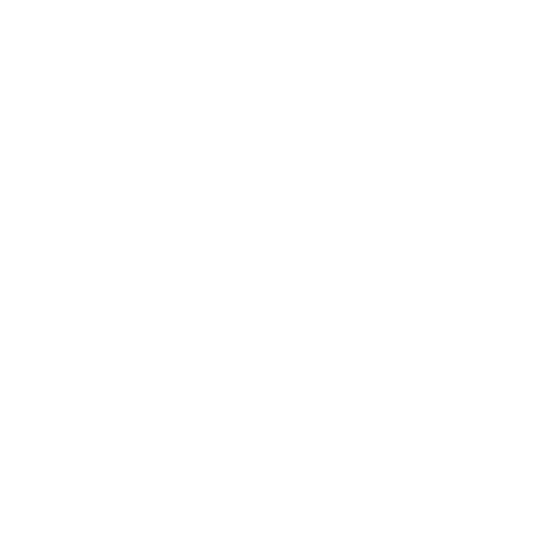 SOAR Logo